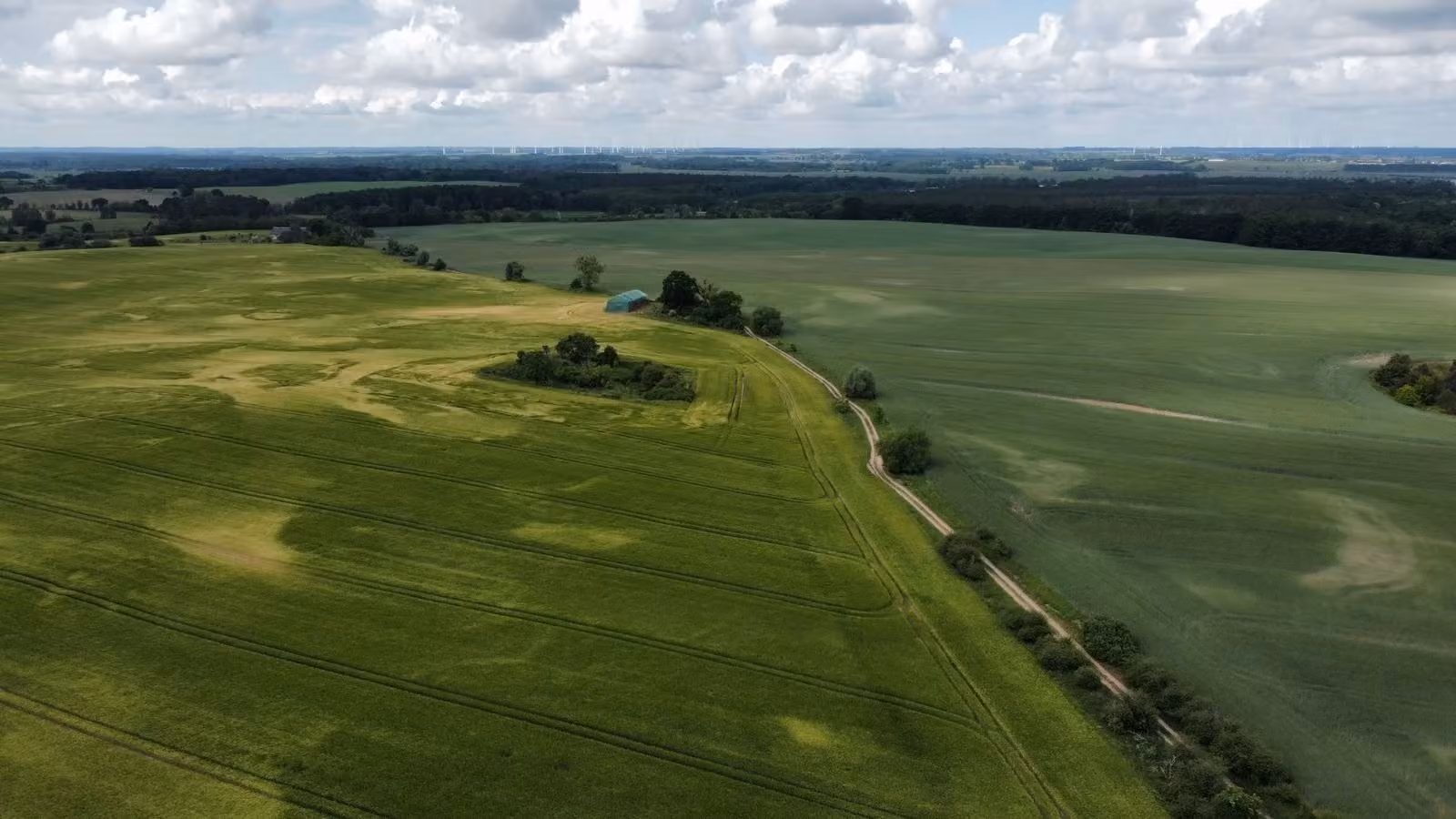 Vedere aeriană cu tarlale agricole delimitate prin drumuri și perdele de vegetație